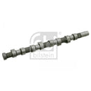 FEBI 24689 CAMSHAFT PEUGEOT DW10ATED/BTED 306/406/407/C5 2L OE