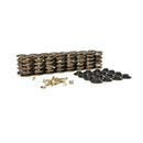 LUNATI 73124K2LUN VALVE SPRING KIT INC SPRINGS RETAINERS LOCKS