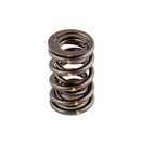 AFR 8000-1 SOLID ROLLER VALVE SPRING 1.550 OD CUSTOM
