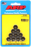 ARP 200-8632 5/16-24 HEX NUT KIT