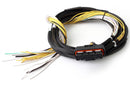HALTECH HT-040025 HPI - HIGH POWER IGNITER - 15 AMP EIGHT CHANNEL FLYING LEAD LOOM ONLY