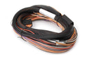 HALTECH HT-049902 IO 12 EXPANDER FLYING LEAD HARNESS