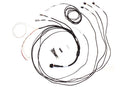 HALTECH HT-060300 SEMI TERMINATED STAND-ALONE HARNESS FOR IC-7 DISPLAY DASH