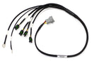 HALTECH HT-130336 ELITE 1000/1500 TERMINATED IGNITION HARNESS FOR MAZDA 13B (IGN-1A)