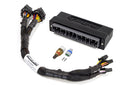 HALTECH HT-140843 ELITE 1000/1500 PLUG'N'PLAY ADAPTOR HARNESS FOR HONDA S2000