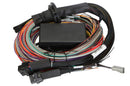 HALTECH HT-141306 ELITE 2500 & 2500 T PREMIUM UNIVERSAL WIRE-IN HARNESS - 3M