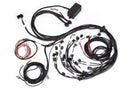 HALTECH HT-141388 ELITE 2500 TERMINATED ENGINE HARNESS FOR FORD FALCON BA/BF BARRA 4.0L I6
