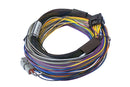 HALTECH HT-150602 ELITE 750 + BASIC UNIVERSAL WIRE-IN HARNESS KIT