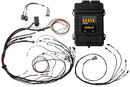HALTECH HT-150988 ELITE 1500 + MAZDA 13B S6-8 CAS WITH IGN-1A IGNITION TERMINATED HARNESS KIT