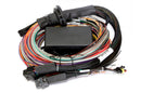 HALTECH HT-151305 ELITE 2500 + PREMIUM UNIVERSAL WIRE-IN HARNESS KIT