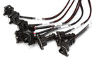 HALTECH HT-151360 ELITE 2500 + GM GEN III LS1 & LS6 NON DBW TERMINATED HARNESS KIT