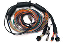 HALTECH HT-183200 NEXUS R3 UNIVERSAL WIRE-IN HARNESS - 2.5M (8')