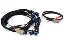 HALTECH HT-186061 NEXUS UNIVERSAL V8 - IGN-1A FORD HARNESS