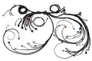 HALTECH HT-186205 NEXUS R5 LSX DBW TERMINATED HARNESS - DBW READY