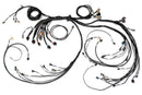 HALTECH HT-186206 NEXUS R5 LSX NON DBW TERMINATED HARNESS