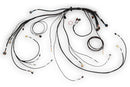 HALTECH HT-186500 NEXUS REBEL LS TERMINATED HARNESS FOR NEXUS REBEL LS ECU