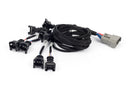 HALTECH HT-186501 NEXUS REBEL LS - LS EV1 INJECTOR SUB-HARNES