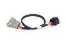 HALTECH HT-186506 NEXUS REBEL LS - 8-PIN DBW ADAPTOR