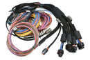 HALTECH HT-195201 NEXUS R5 + UNIVERSAL WIRE-IN HARNESS KIT - 5M / 16'
