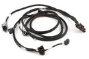 HALTECH HT-130338 HIGH OUTPUT IGN-1A INDUCTIVE COIL TO GM LS V8 ADAPTOR SUB-HARNESS