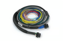 HALTECH HT-182200 NEXUS S3 / S2 UNIVERSAL WIRE-IN HARNESS - 2.5M (8')