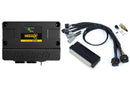 HALTECH HT-212302 NEXUS S2 PLUG 'N' PLAY ADAPTER HARNESS KIT - HONDA EP3