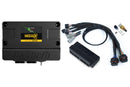 HALTECH HT-212305 NEXUS S2 PLUG 'N' PLAY ADAPTER HARNESS KIT - SUBARU WRX MY99-00