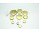 GRAHAM MATTHEWS WPK45 WELCH PLUG KIT BRASS HOLDEN 161-202