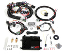 HOLLEY 550-604 HP EFI ECU & HARNESS KIT SUITS VARIOUS MODELS