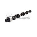 LUNATI 10510705 VOODOO HYD FLAT TAPPET CAM PONTIAC 55-81 V8 VARIOUS