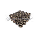 LUNATI 74748-16LUN TRIPLE VALVE SPRINGS 1.645 332 @ 2.100