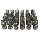 LUNATI 75856-16LUN DUAL VALVE SPRINGS 1.550 W/O DAMPER