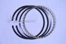 HASTINGS 5914060 060 CAST RINGS FOR HOLDEN 149 RED I-3.250-0.060-5/64-5/64-3/16