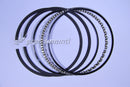 HASTINGS 6824040 040 CAST RINGS HOLDEN TORANA OPEL 1900 RINGS M-93.00-0.50-2-2-5