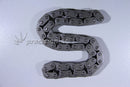 CLOYES C359 TIMING CHAIN EACH ROVER V8/P76 54 LINK
